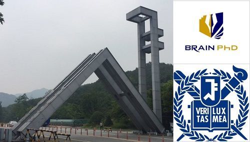 [뉴스컬처]‘서울대 박사 그룹’ 논문 컨설팅 브레인PhD, 중·장년층 대상 무료 논문 상담